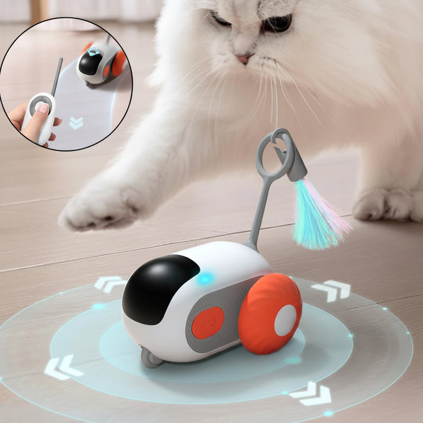 Remote Control Interactive Cat Toy