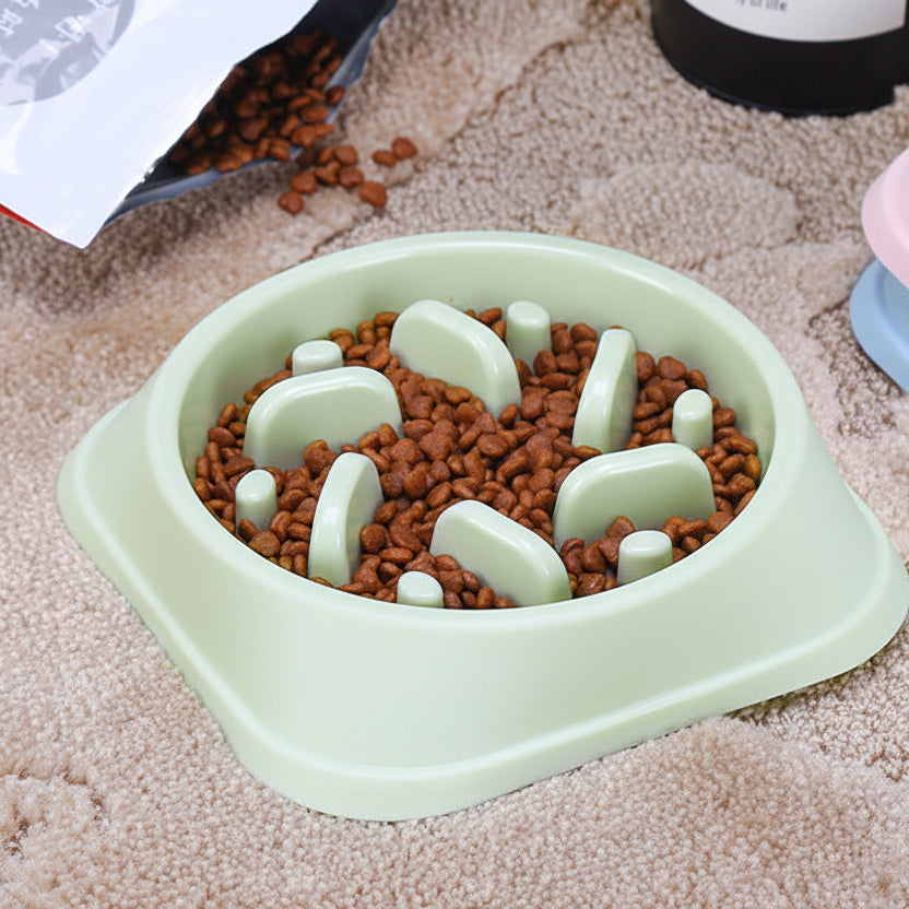 Pet Slow Feeder Bowl