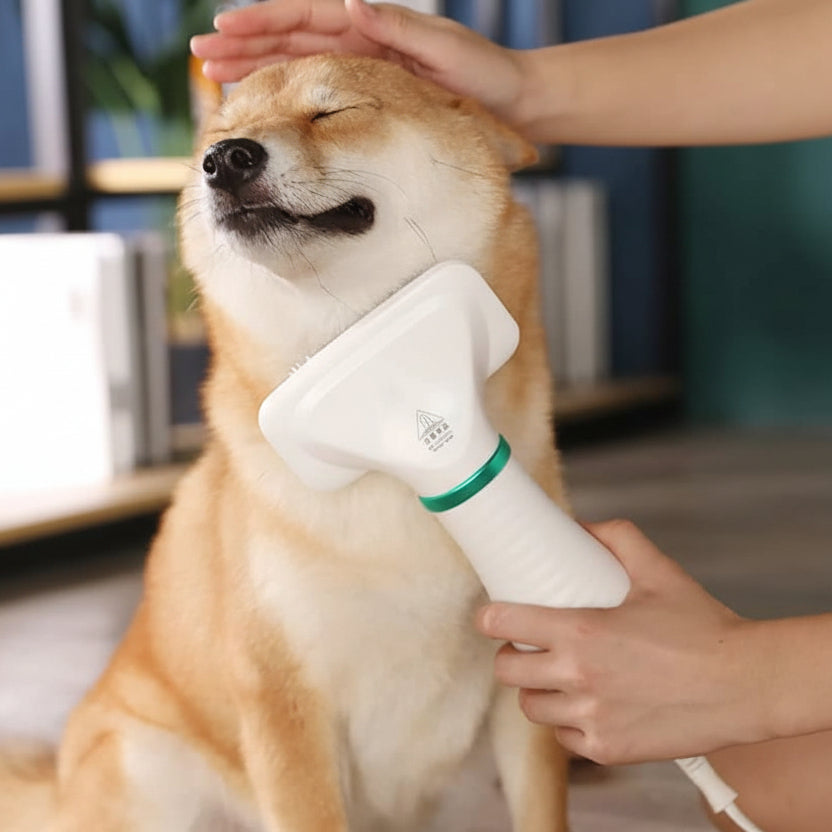 Pet Electric Hair Dryer