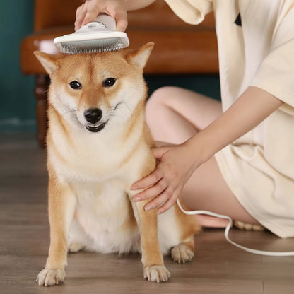 Pet Electric Hair Dryer