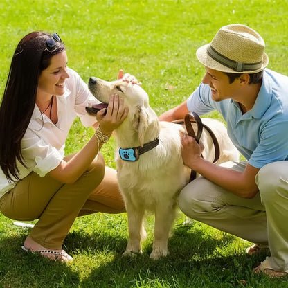 Anti-Bark Dog Collar