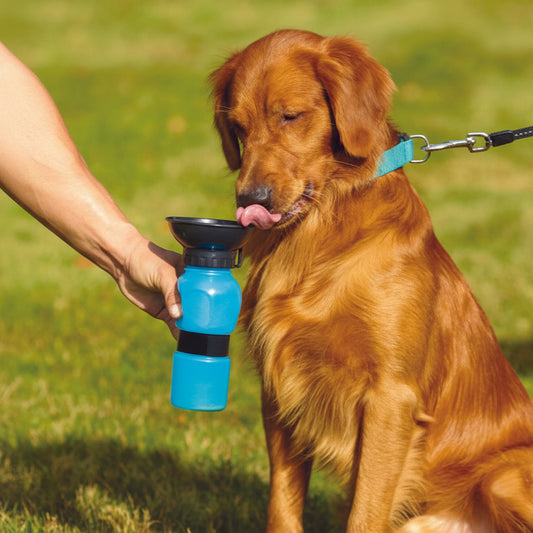 Pet Drinking Water Bottle